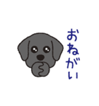 らぶらぶ黒ラブさん（個別スタンプ：10）