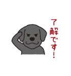 らぶらぶ黒ラブさん（個別スタンプ：14）