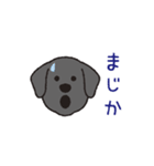 らぶらぶ黒ラブさん（個別スタンプ：16）