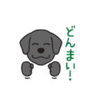 らぶらぶ黒ラブさん（個別スタンプ：18）