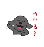 らぶらぶ黒ラブさん（個別スタンプ：23）