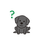 らぶらぶ黒ラブさん（個別スタンプ：24）