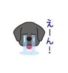らぶらぶ黒ラブさん（個別スタンプ：27）