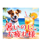 水彩感じるジャック・ラッセルスタンプ（個別スタンプ：16）