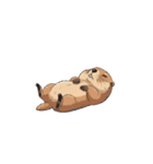 【暑さでバテてるマーモット】（個別スタンプ：8）