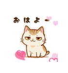 ジト目ネコちゃん（個別スタンプ：3）