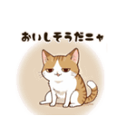 ジト目ネコちゃん（個別スタンプ：13）