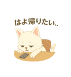 さんみちちゃんかずのゆるかわ毎日スタンプ（個別スタンプ：10）
