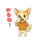 チワワ子犬の喜怒哀楽スタンプ3（個別スタンプ：8）