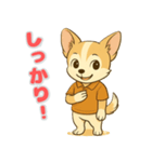 チワワ子犬の喜怒哀楽スタンプ3（個別スタンプ：10）