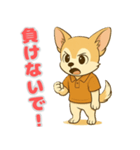 チワワ子犬の喜怒哀楽スタンプ3（個別スタンプ：12）
