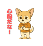 チワワ子犬の喜怒哀楽スタンプ3（個別スタンプ：13）