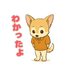 チワワ子犬の喜怒哀楽スタンプ3（個別スタンプ：15）
