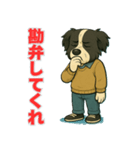 ボーダーコリー爺ちゃんの日常3（個別スタンプ：15）