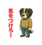 ボーダーコリー爺ちゃんの日常3（個別スタンプ：19）