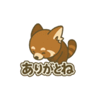 レッサーパンダの毎日ことばスタンプ（個別スタンプ：1）