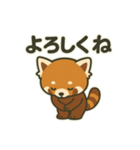 レッサーパンダの毎日ことばスタンプ（個別スタンプ：6）