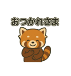 レッサーパンダの毎日ことばスタンプ（個別スタンプ：7）