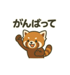 レッサーパンダの毎日ことばスタンプ（個別スタンプ：8）