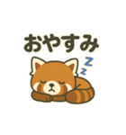 レッサーパンダの毎日ことばスタンプ（個別スタンプ：9）