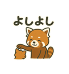 レッサーパンダの毎日ことばスタンプ（個別スタンプ：10）