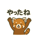 レッサーパンダの毎日ことばスタンプ（個別スタンプ：11）