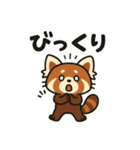レッサーパンダの毎日ことばスタンプ（個別スタンプ：13）