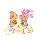三毛猫くるみちゃんスタンプ（個別スタンプ：6）