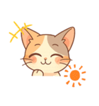 三毛猫くるみちゃんスタンプ（個別スタンプ：8）