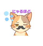 三毛猫くるみちゃんスタンプ（個別スタンプ：13）