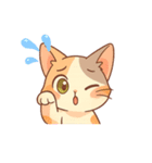 三毛猫くるみちゃんスタンプ（個別スタンプ：15）