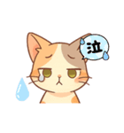三毛猫くるみちゃんスタンプ（個別スタンプ：16）