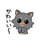 とにかくチワワかわいいブラック！（個別スタンプ：1）