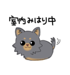 とにかくチワワかわいいブラック！（個別スタンプ：9）
