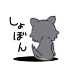 とにかくチワワかわいいブラック！（個別スタンプ：10）