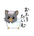 とにかくチワワかわいいブラック！（個別スタンプ：17）