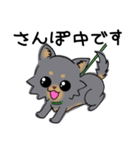 とにかくチワワかわいいブラック！（個別スタンプ：18）