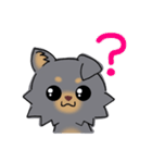 とにかくチワワかわいいブラック！（個別スタンプ：21）