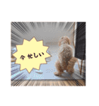 わんぱく犬、海飛スタンプ（個別スタンプ：3）