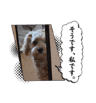 わんぱく犬、海飛スタンプ（個別スタンプ：9）