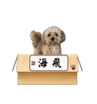わんぱく犬、海飛スタンプ（個別スタンプ：17）