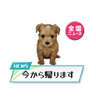 わんぱく犬、海飛スタンプ（個別スタンプ：18）