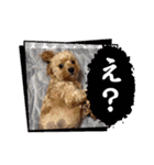 わんぱく犬、海飛スタンプ（個別スタンプ：30）