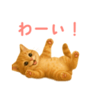 もふもふ子猫ぬいぐるみ【デカ文字ver.】（個別スタンプ：11）