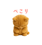 もふもふ子猫ぬいぐるみ【デカ文字ver.】（個別スタンプ：16）