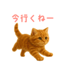 もふもふ子猫ぬいぐるみ【デカ文字ver.】（個別スタンプ：21）