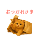 もふもふ子猫ぬいぐるみ【デカ文字ver.】（個別スタンプ：23）