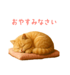 もふもふ子猫ぬいぐるみ【デカ文字ver.】（個別スタンプ：24）