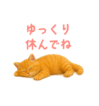 もふもふ子猫ぬいぐるみ【デカ文字ver.】（個別スタンプ：25）