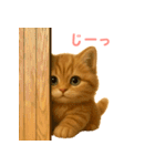 もふもふ子猫ぬいぐるみ【デカ文字ver.】（個別スタンプ：30）